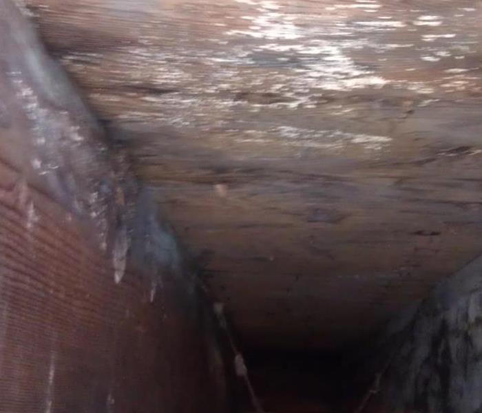 Mold in wooden crawlspace